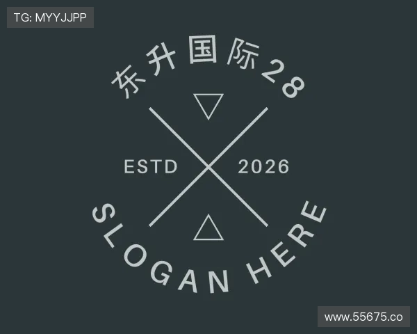 关于东升国际28